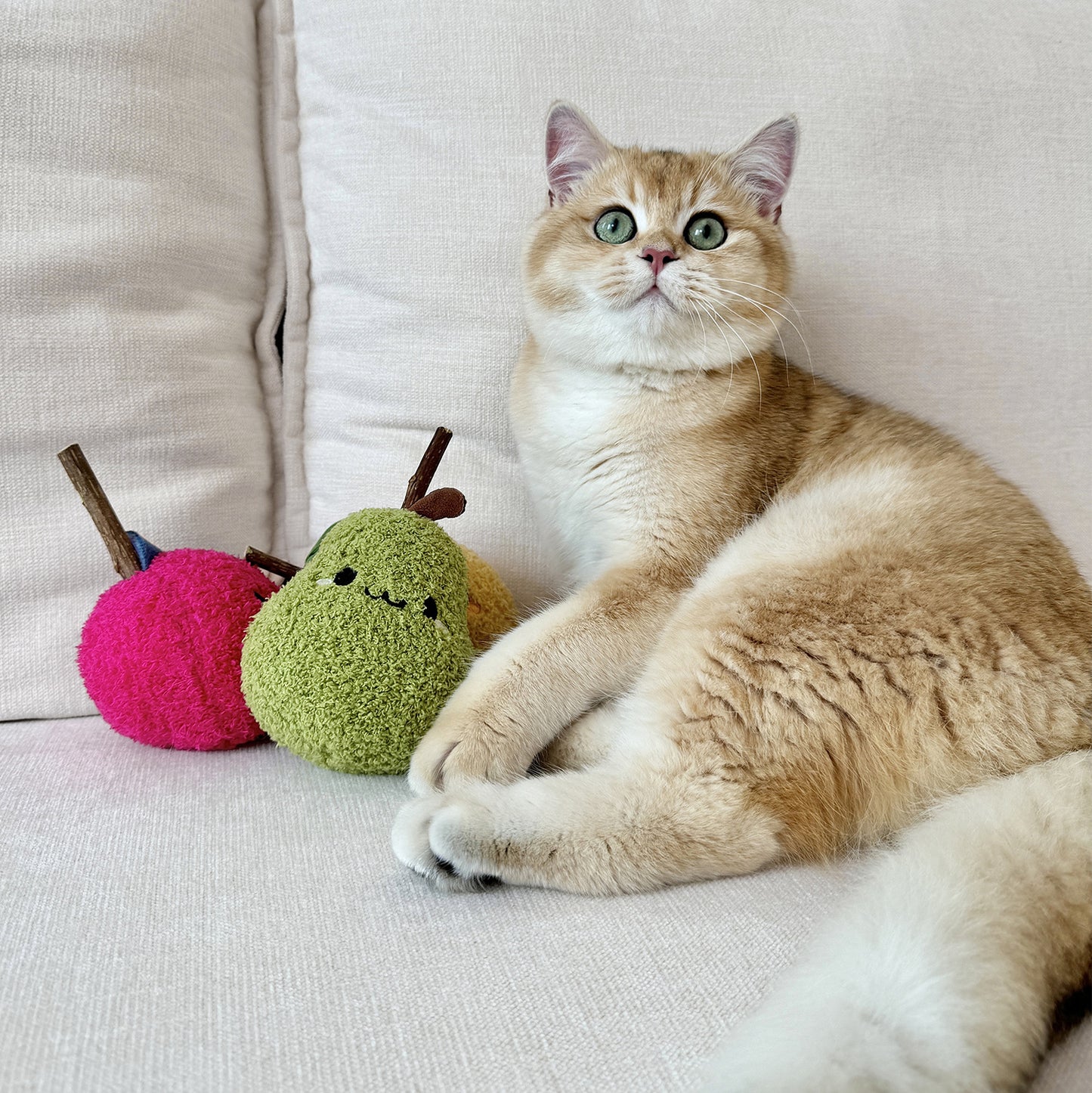 Pear Stuff Toy for Grinding Snacks