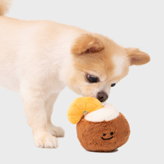 🥥 Coconut Squeaky Soft Toy