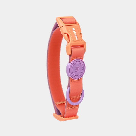 Block Color Collar for Small Dogs