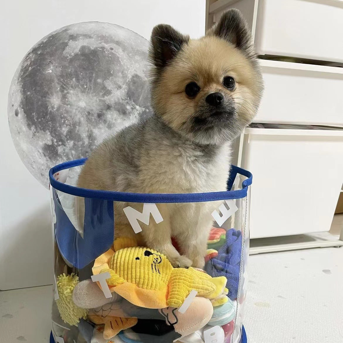 Toy Storage Basket