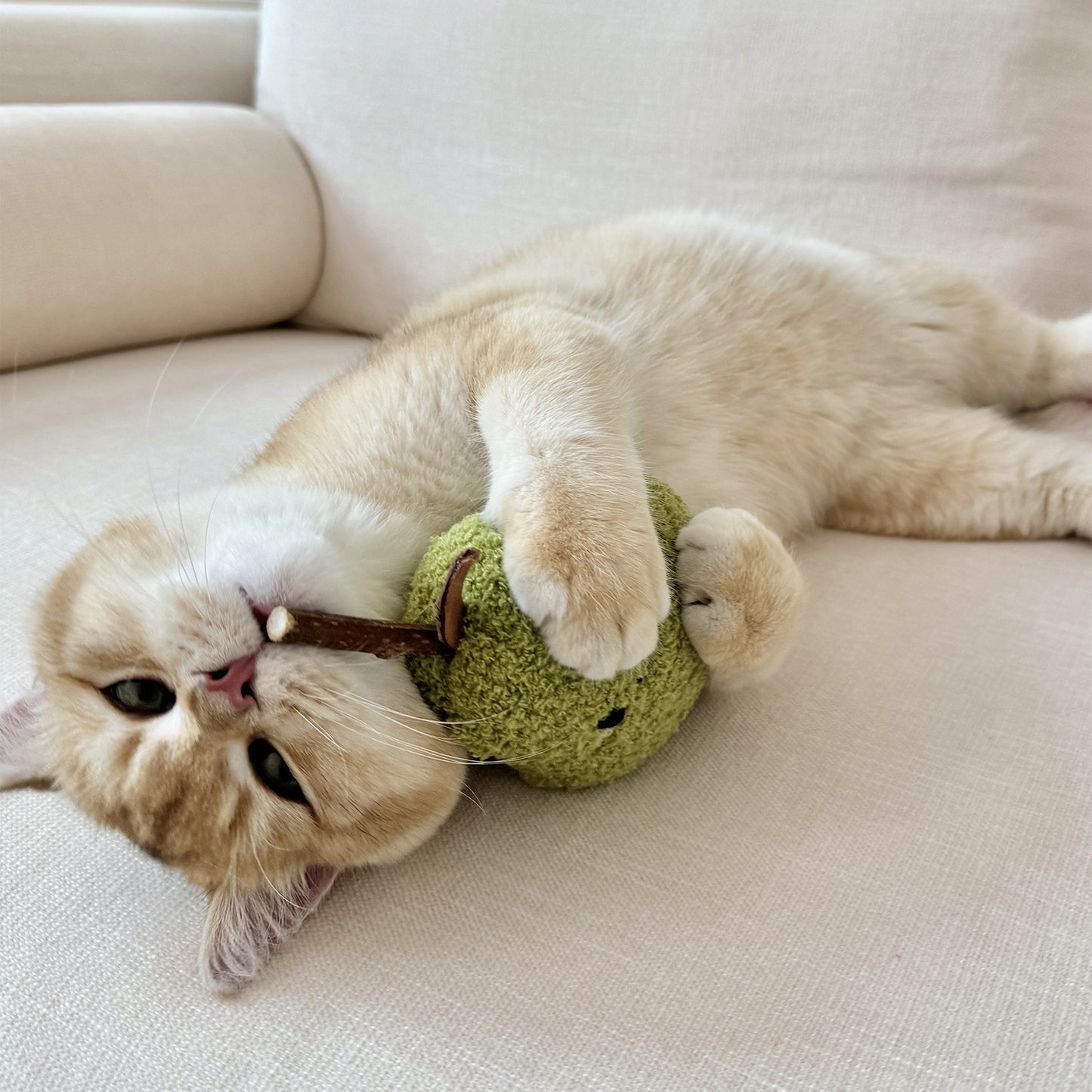 Pear Stuff Toy for Grinding Snacks