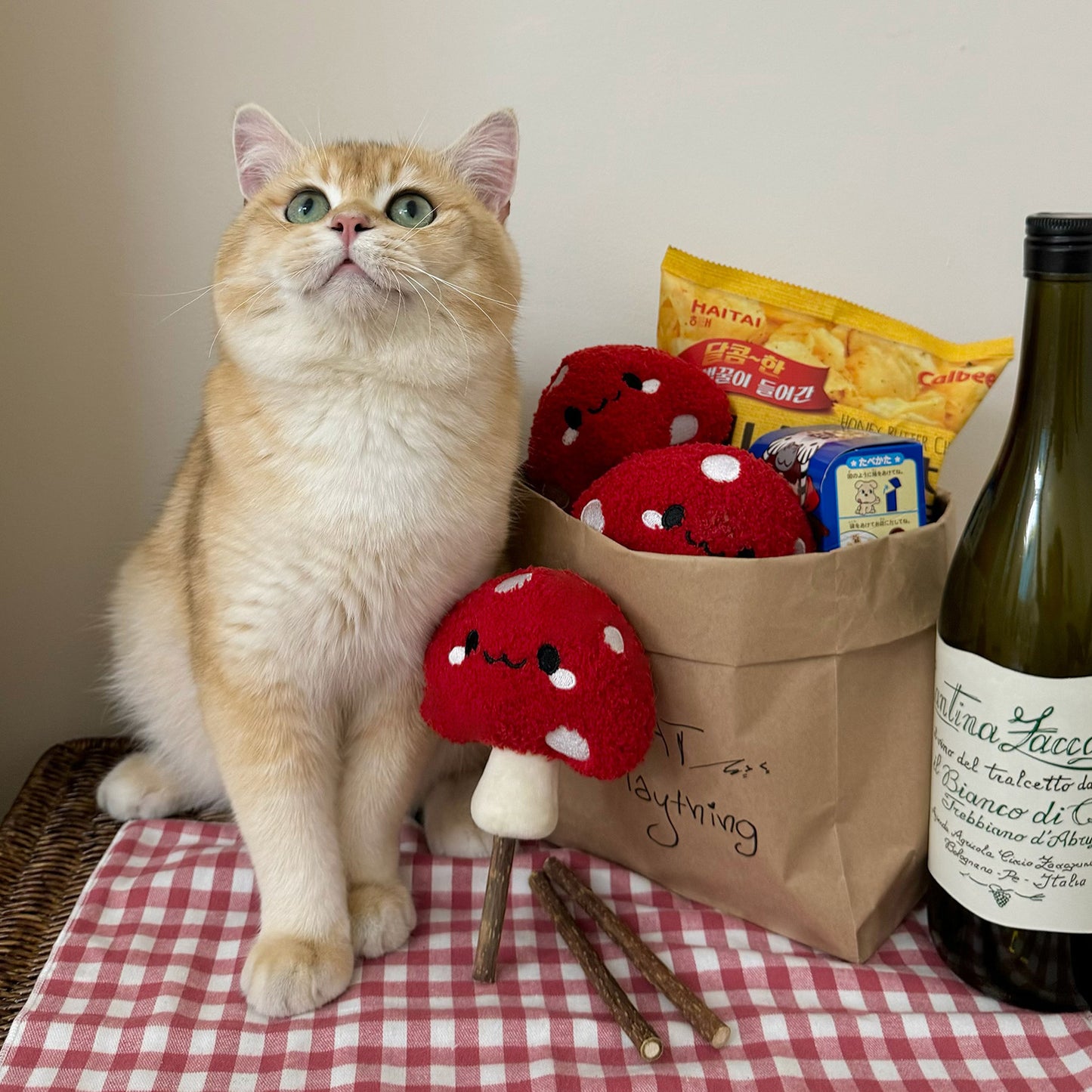 Mushroom Stuff Toy for Grinding Snacks