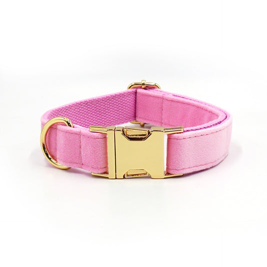 Velvet Collars for All Dog Sizes
