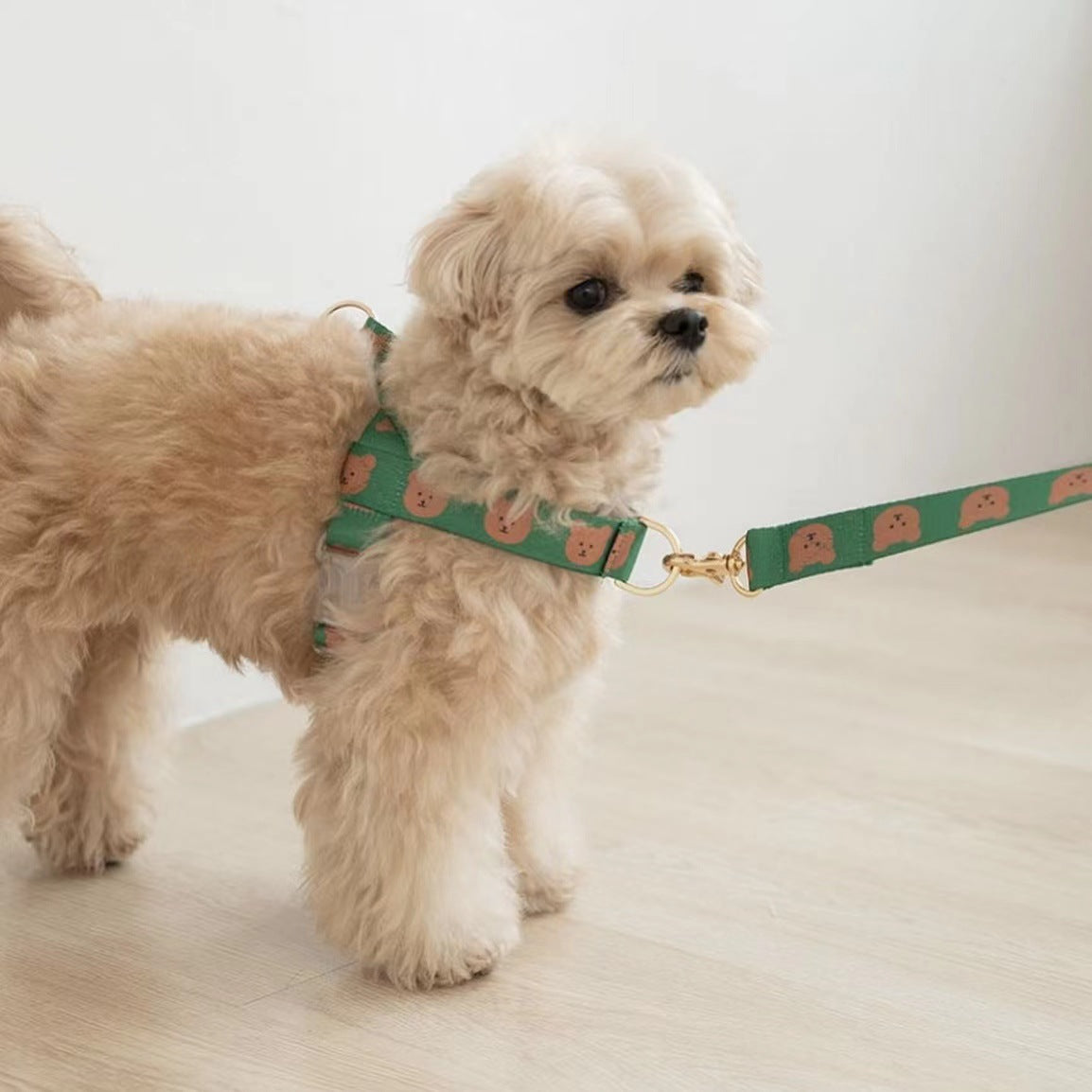 Teddy Step In Harness