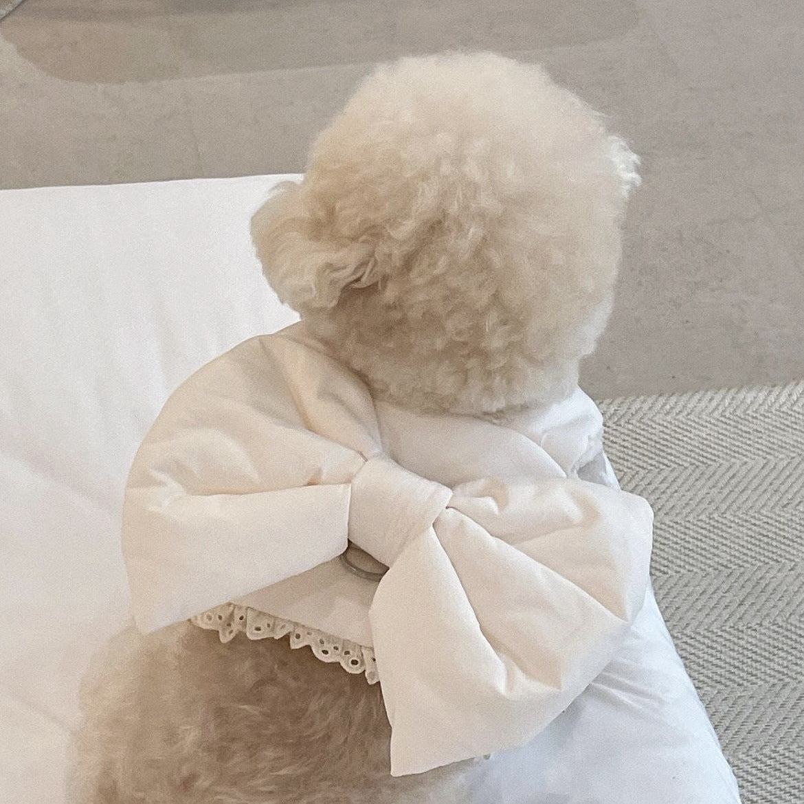 Sweet Bow Vest with Hat