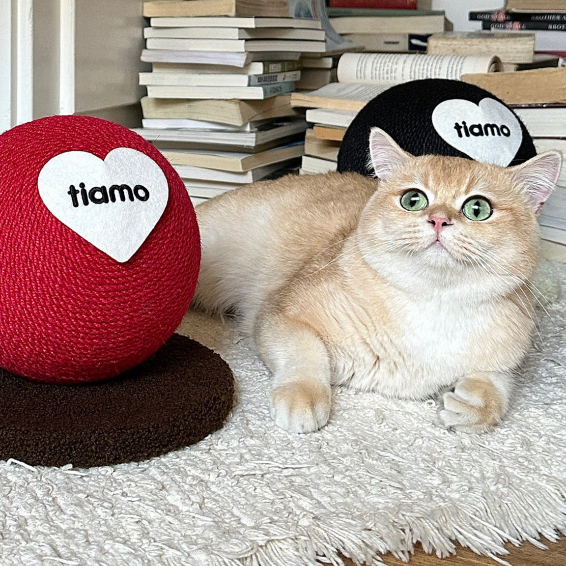 Scartch Ball for Kittens