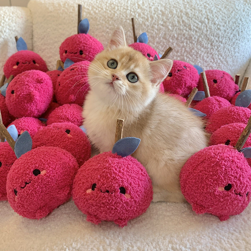 Onion Stuff Toy for Grinding Snacks