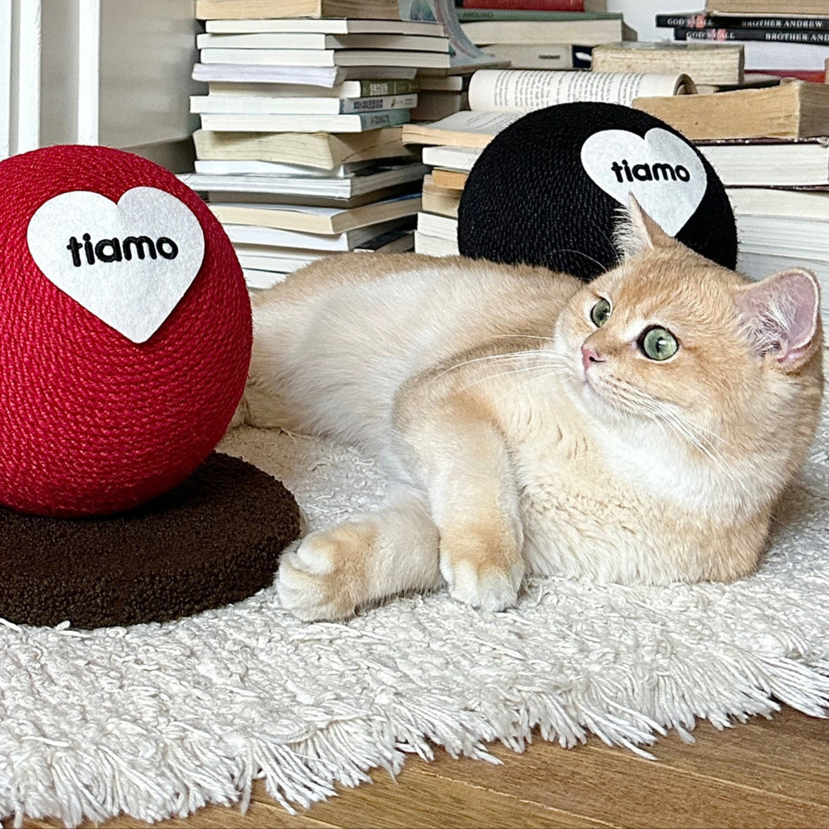Scartch Ball for Kittens