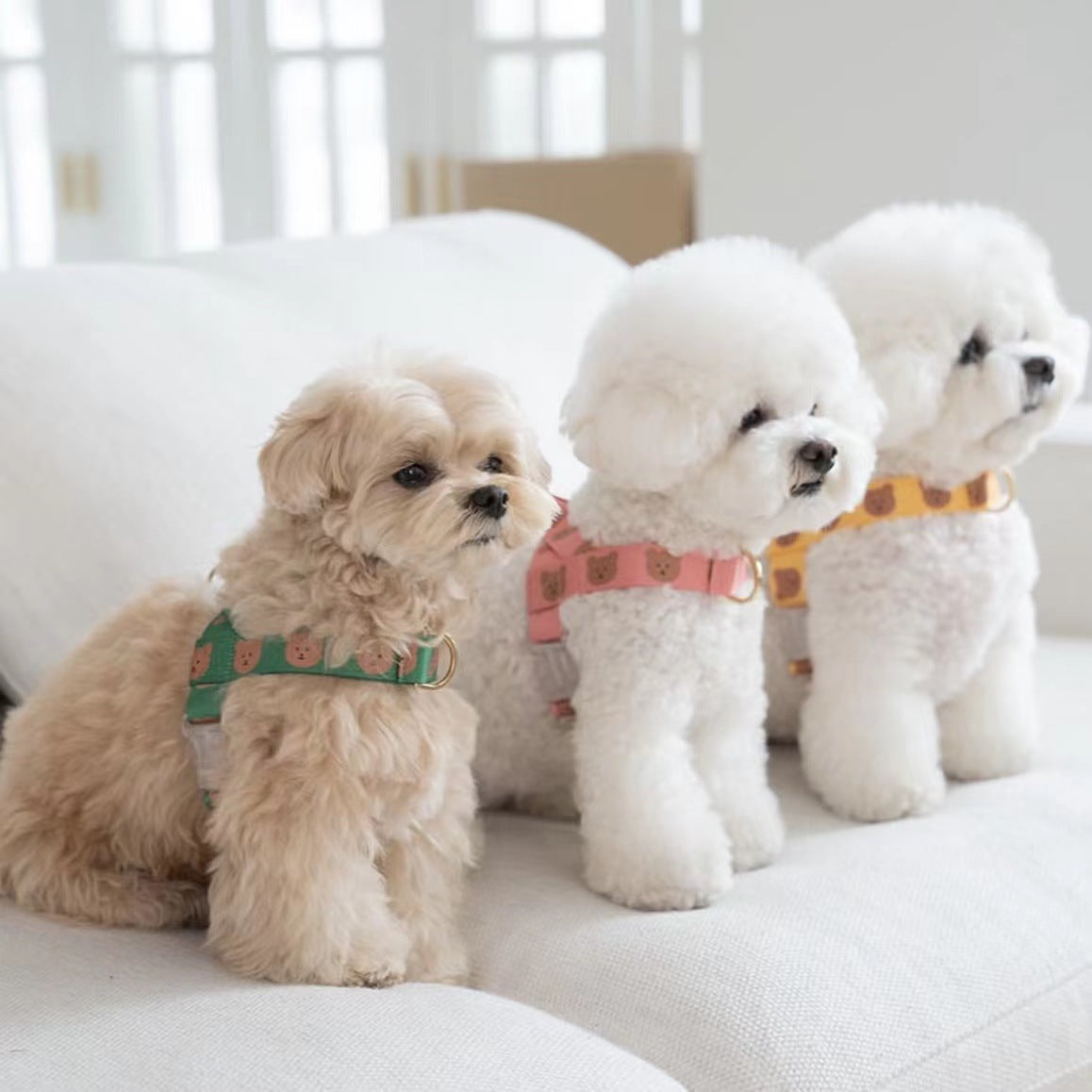 Teddy Step In Harness