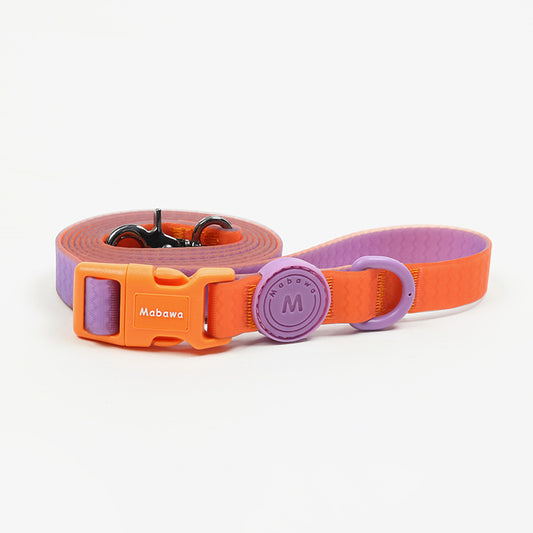 Block Color Leash