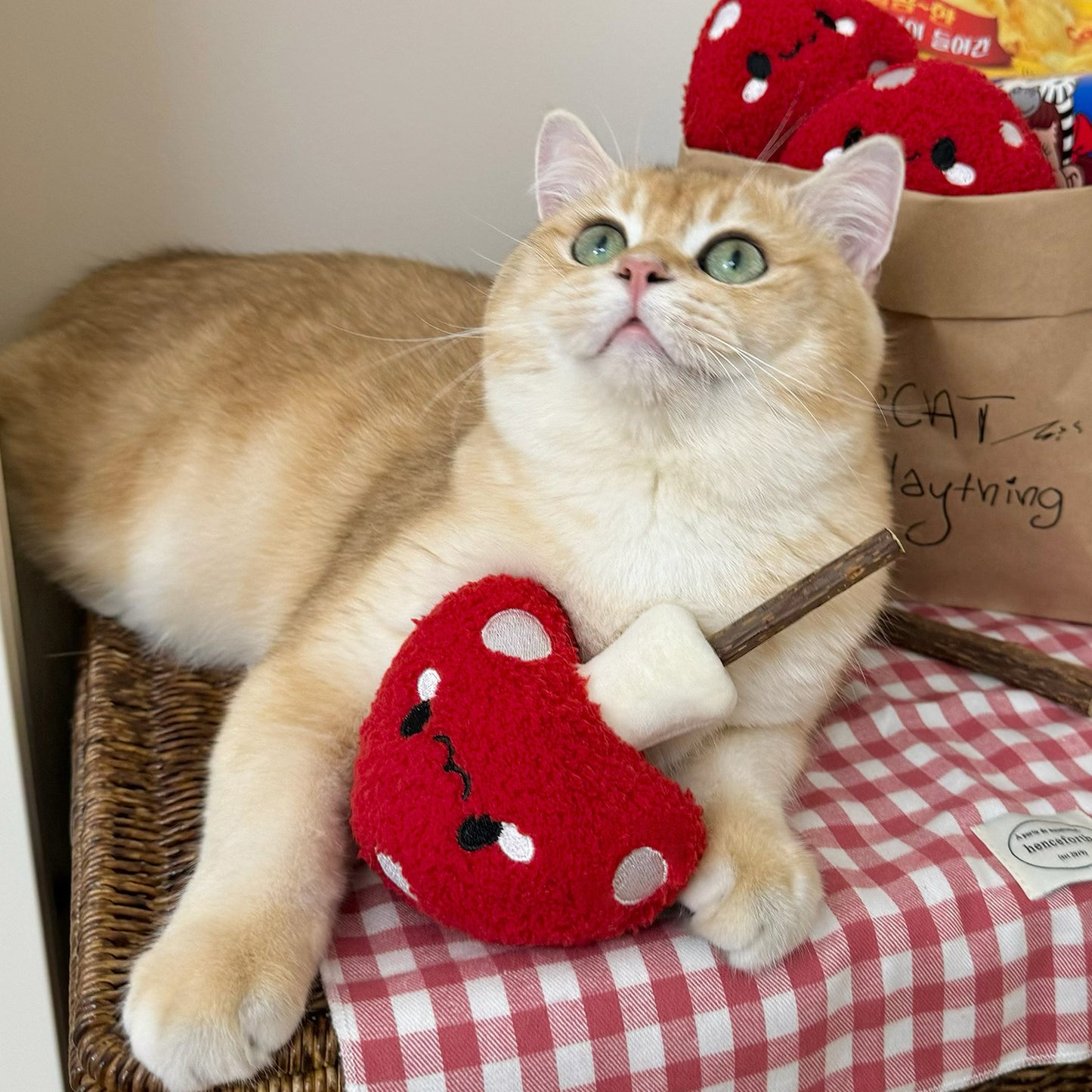 Mushroom Stuff Toy for Grinding Snacks