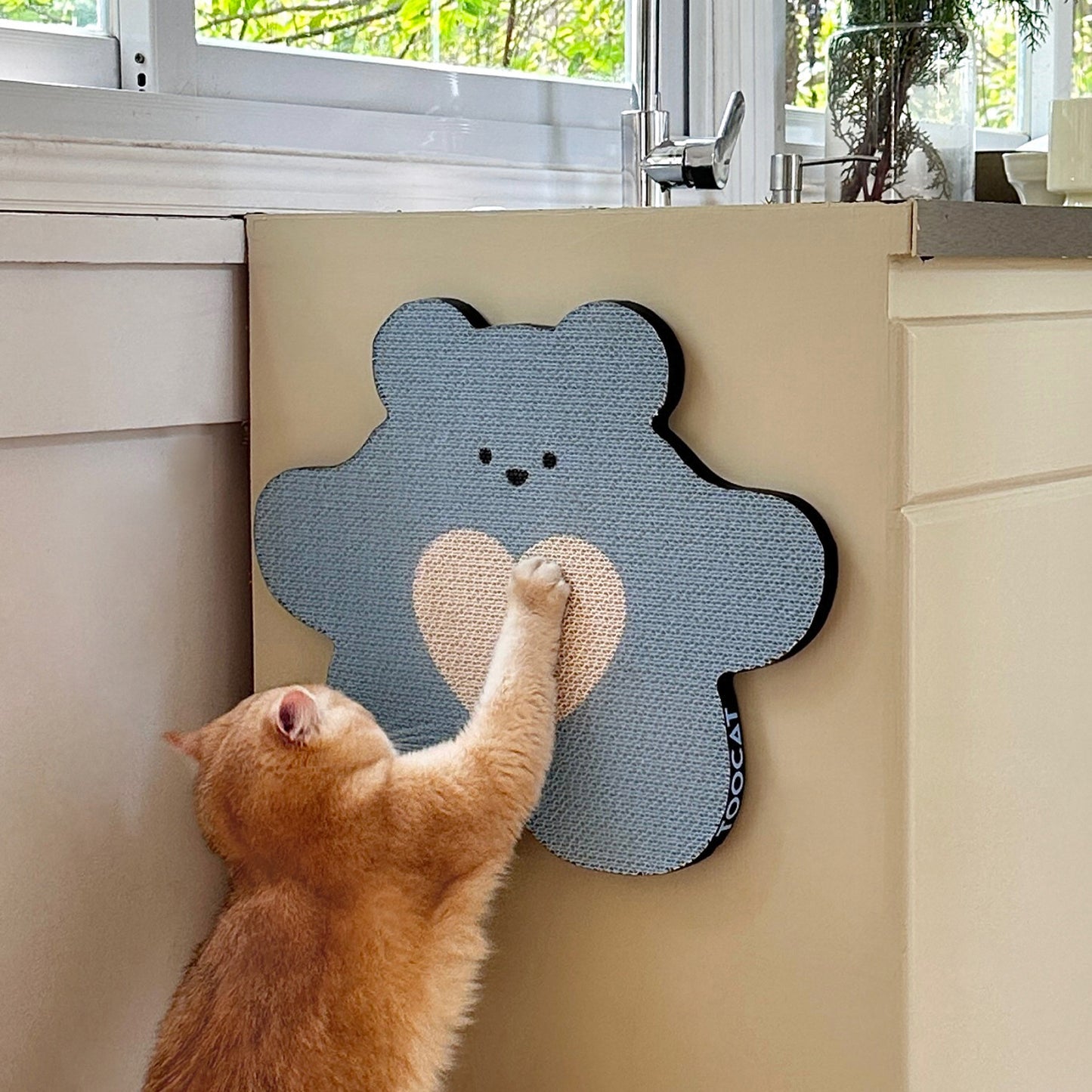 Stickup Bear Scratcher for Kitten