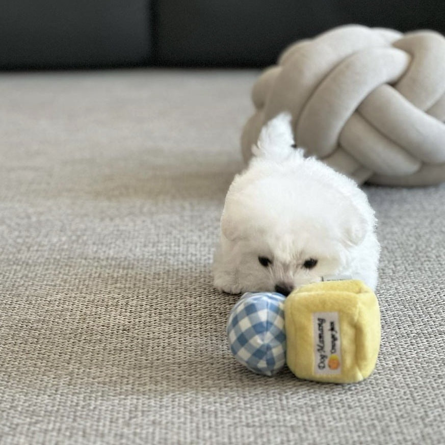 🍓🍊 Jam Dog Sniff Toy