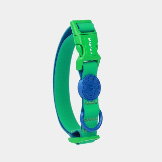 Block Color Collar for Small Dogs
