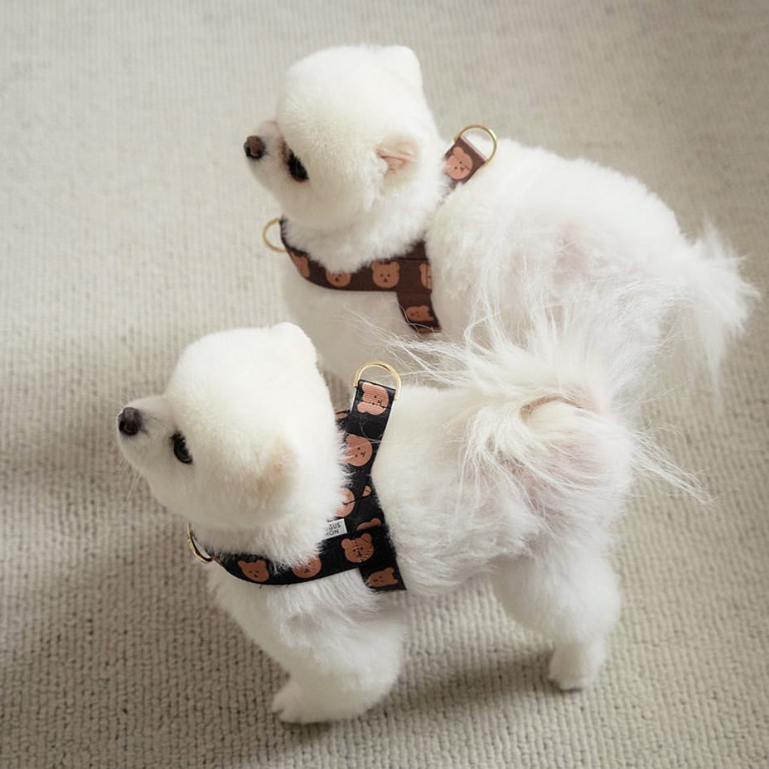 Teddy Step In Harness