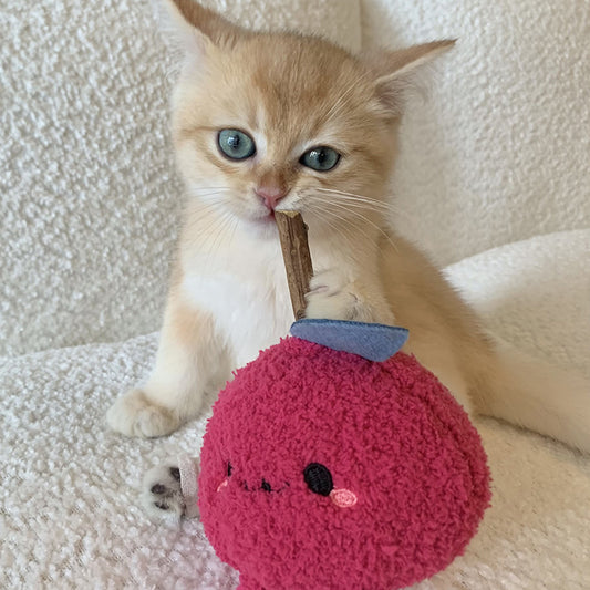 Onion Stuff Toy for Grinding Snacks