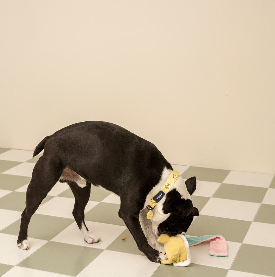 😋 Smiley Cake Treat Hiding Toy