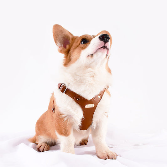 Princess Mia <3 Vegan Leather Harness