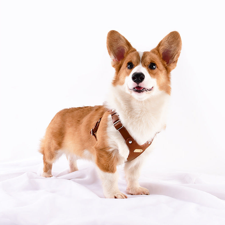 Princess Mia <3 Vegan Leather Harness