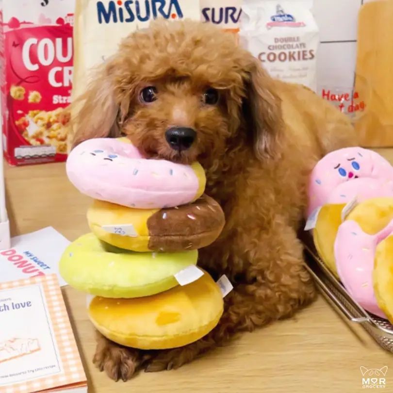 Bagel & Donut Stuff Toy