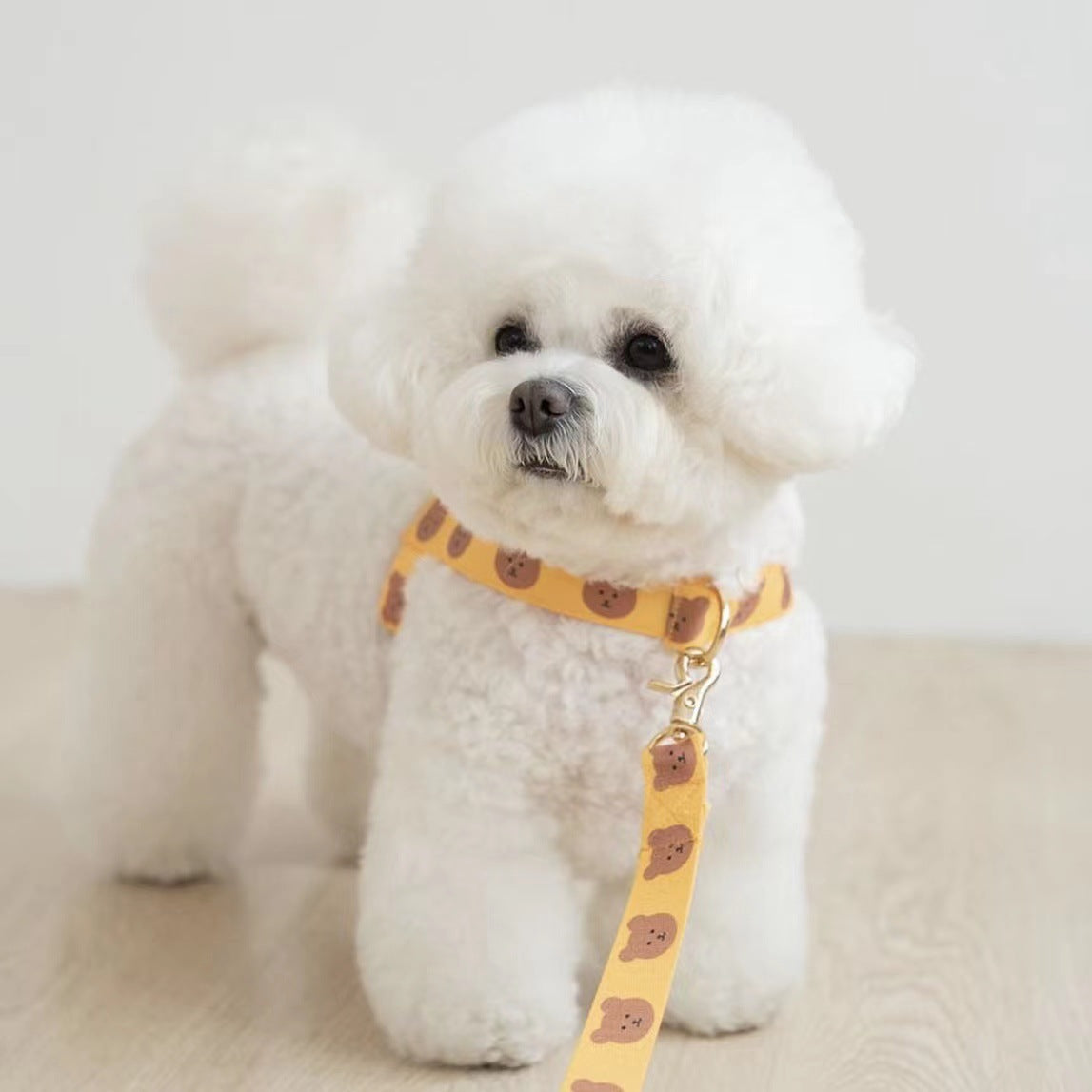 Teddy Step In Harness