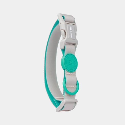 Block Color Collar for Small Dogs