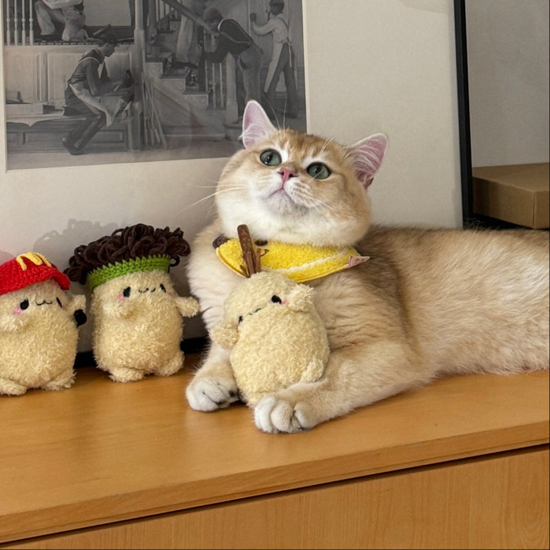 Potato Stuff Toy for Grinding and Snacks