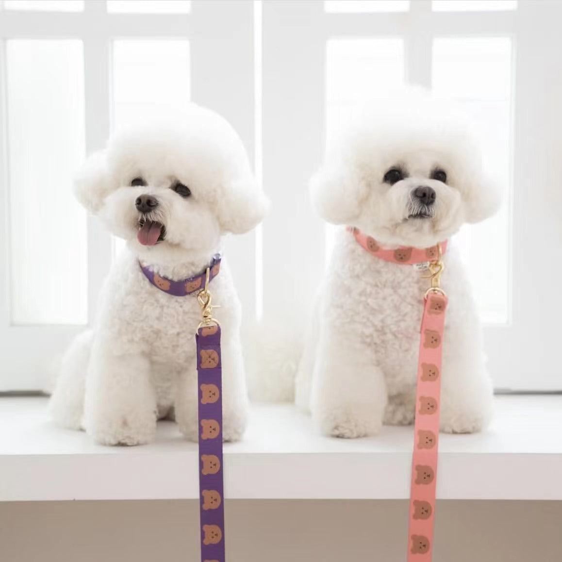 Teddy Step In Harness