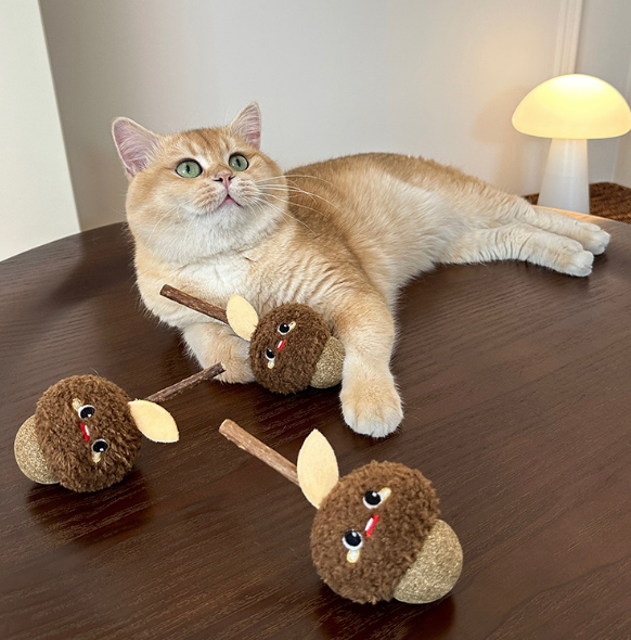 Hazelnut Stuff Toy for Grinding and Snacks