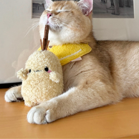 Potato Stuff Toy for Grinding and Snacks