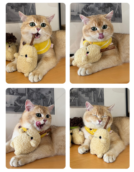 Potato Stuff Toy for Grinding and Snacks