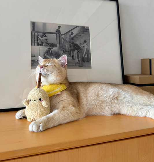 Potato Stuff Toy for Grinding and Snacks