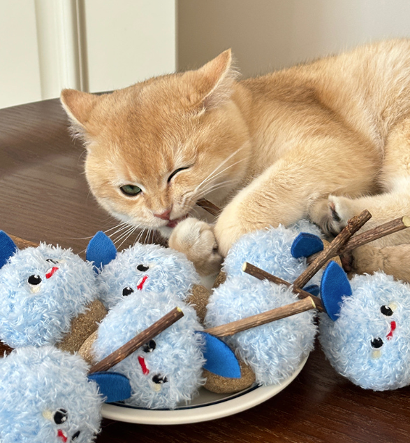 Snowberry Stuff Toy for Grinding Snack